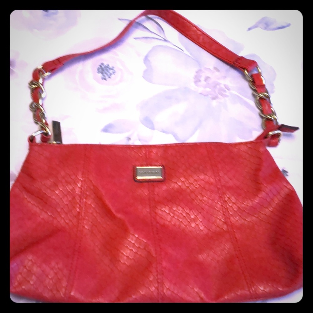 Sophia Vergara little red purse